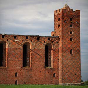 Castle in Radzyń Chełmiński